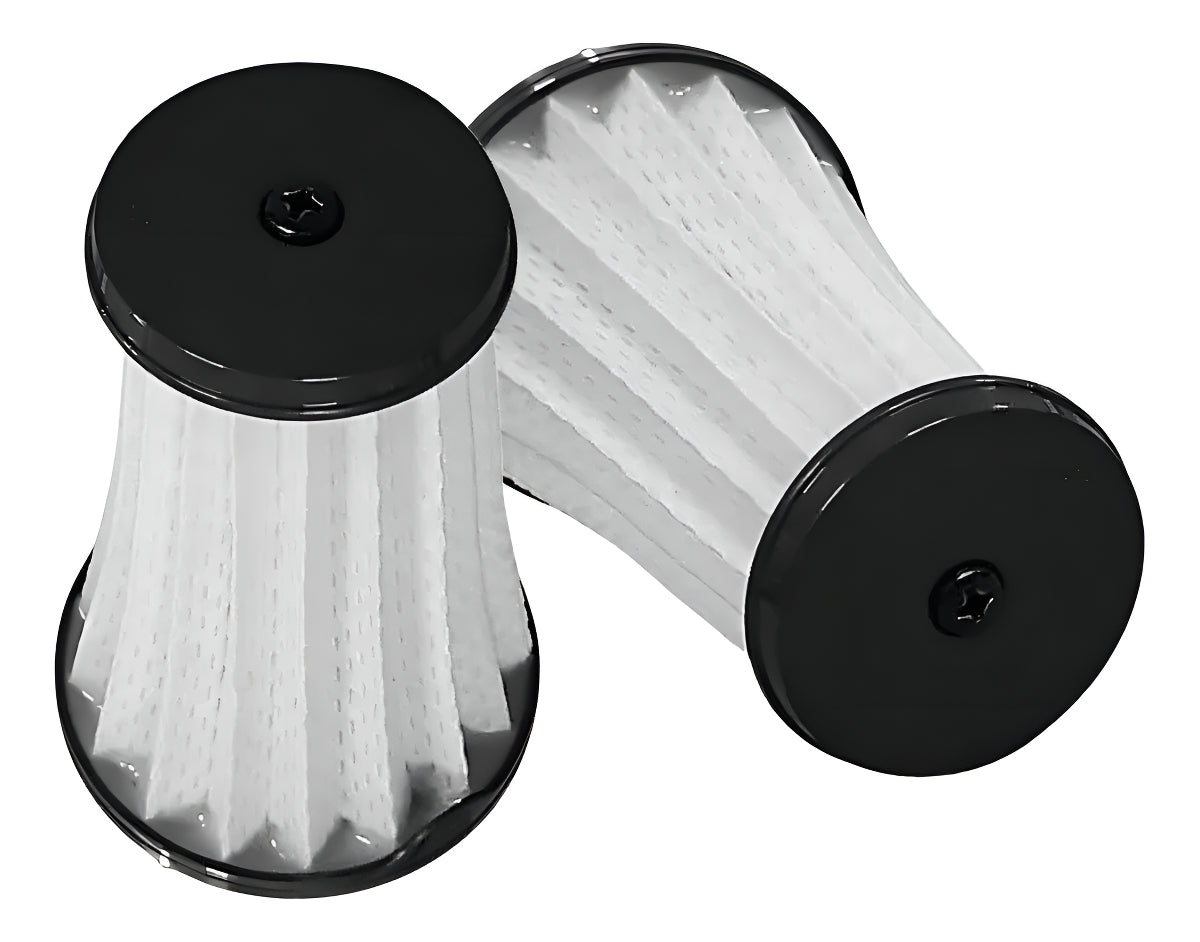 Pack De 2 Filtros Aspiradoras Electrolux Erg10 Y Erg25