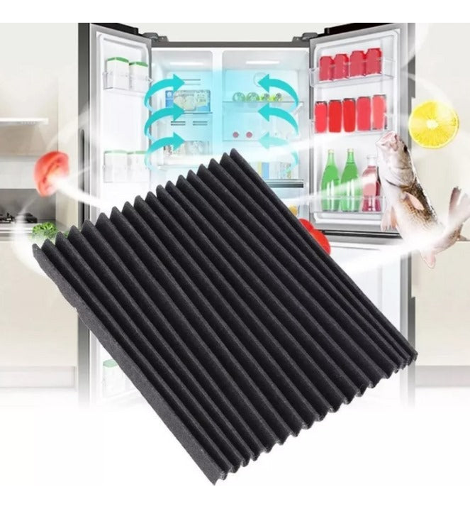 Filtro Olores Original Fensa Advantage Plus 7790