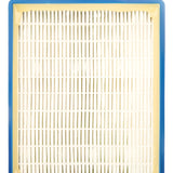 Dos Filtros Hepa Aspiradora Electrolux Original
