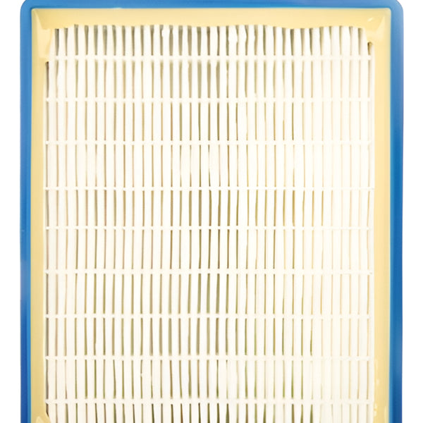 Dos Filtros Hepa Aspiradora Electrolux Original
