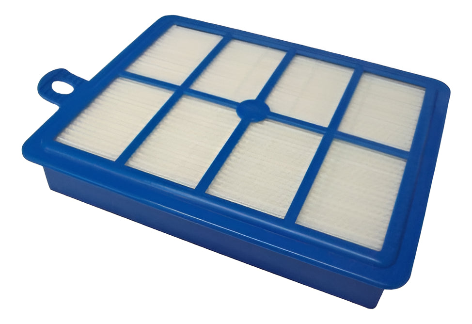 Dos Filtros Hepa Aspiradora Electrolux Original