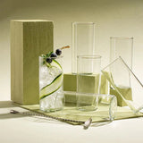 Set 6 Vasos Altos Lisos Cristar Río 480 Ml