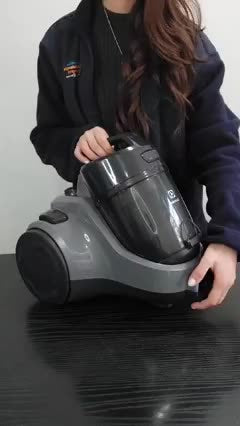 Electrolux Mystique Eas30 Eas31 Fas30 Filtro Para Aspiradora