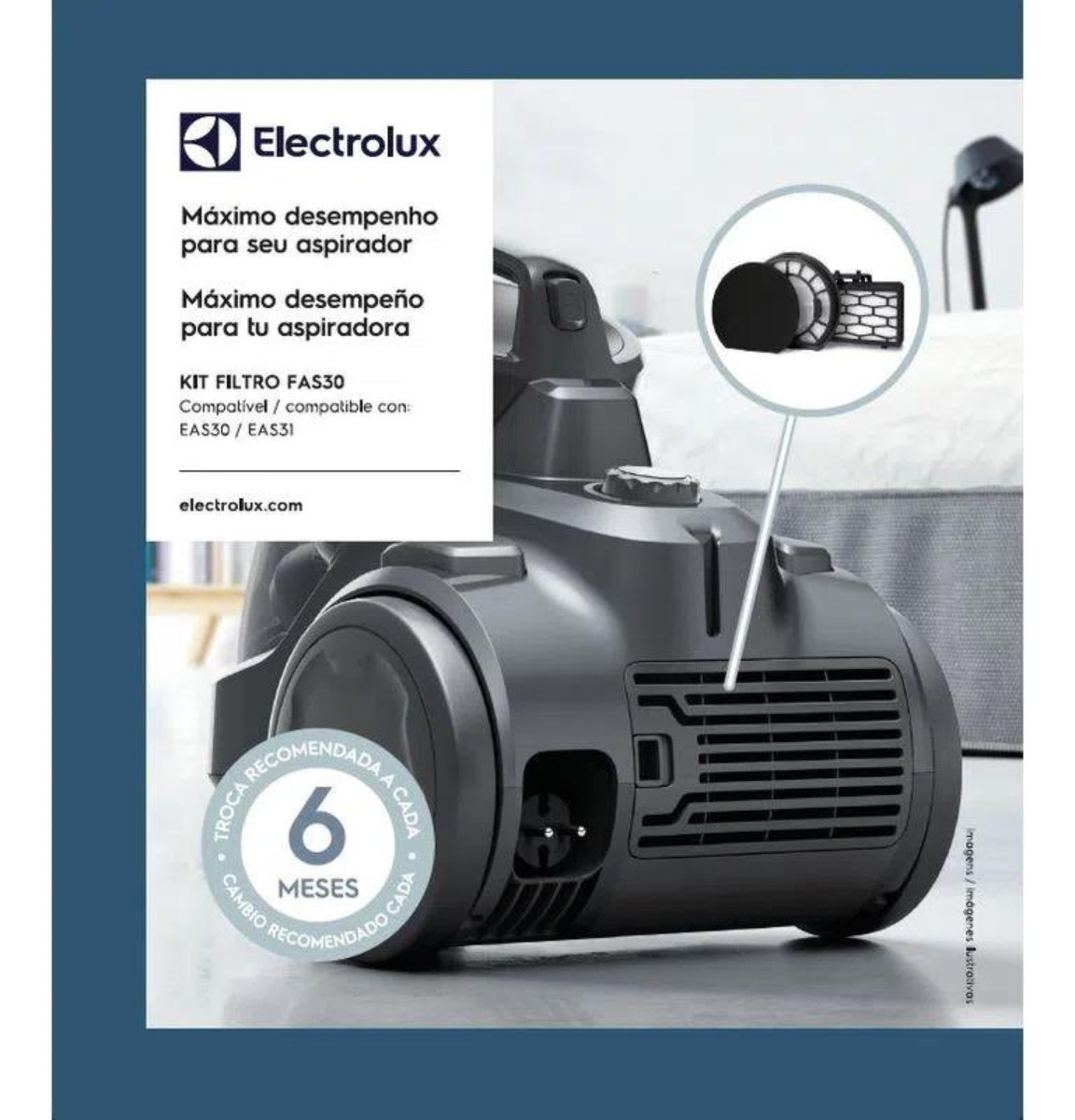 Electrolux Mystique Eas30 Eas31 Fas30 Filtro Para Aspiradora
