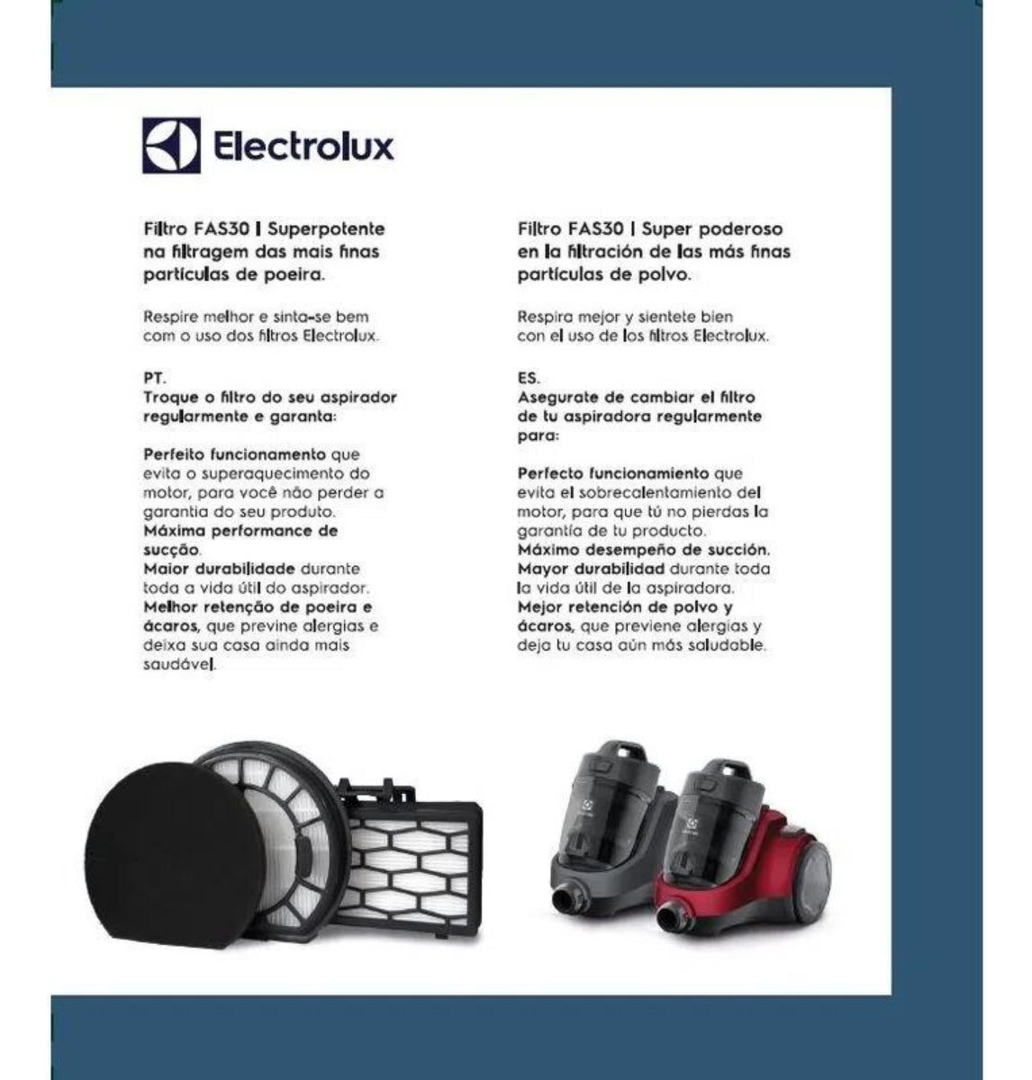 Electrolux Mystique Eas30 Eas31 Fas30 Filtro Para Aspiradora