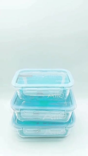 Pack 4 Contenedores Herméticos Vidrio (420+600+750+1000 Ml)